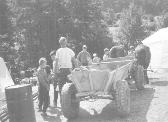 Picture: Wagon with horses, children around  (22K JPEG 393x538)